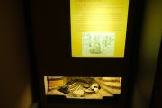 Burial Pit