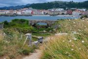 Coast Walk