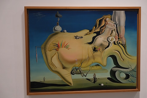Salvador Dali